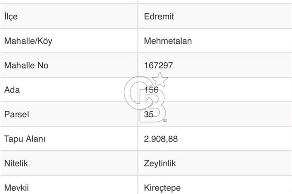 BALIKESİR MEHMETALANDA KÖY İMARINA YAKIN 2900 M2 ZEYTİNLİK