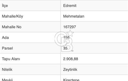 BALIKESİR MEHMETALANDA KÖY İMARINA YAKIN 2900 M2 ZEYTİNLİK