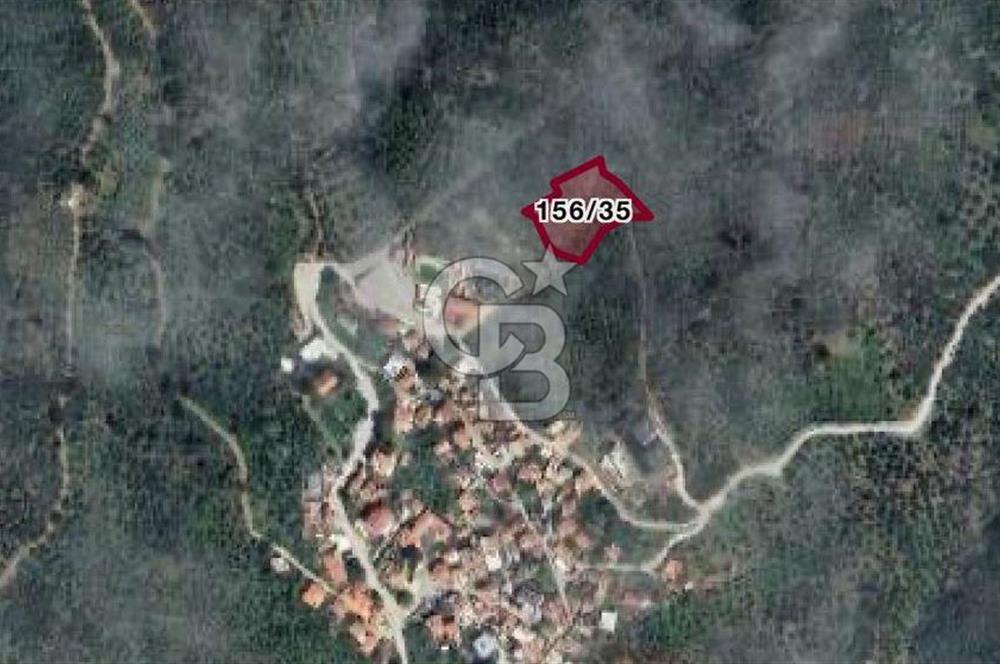 BALIKESİR MEHMETALANDA KÖY İMARINA YAKIN 2900 M2 ZEYTİNLİK