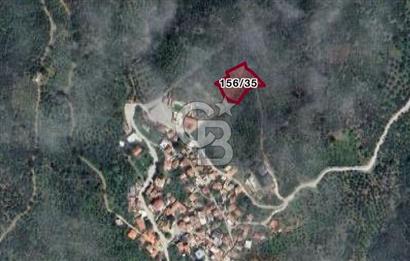 BALIKESİR MEHMETALANDA KÖY İMARINA YAKIN 2900 M2 ZEYTİNLİK