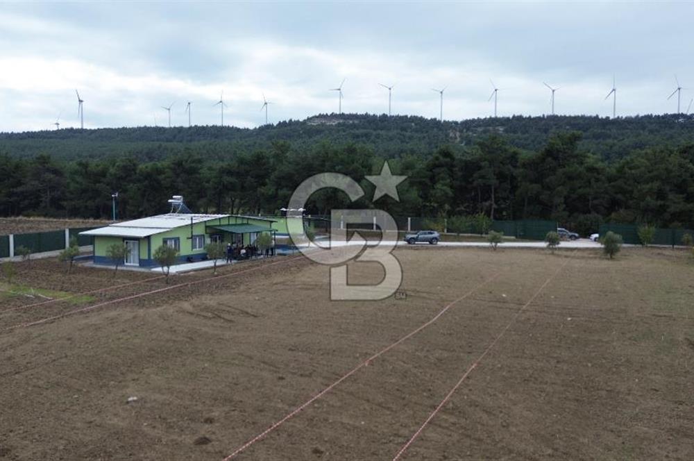 ÇANAKKALE MERKEZ ÇINARLI PRESTİJ 301 M2 TARLA