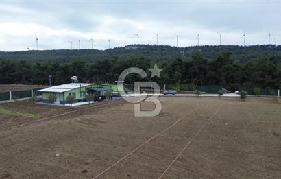 ÇANAKKALE MERKEZ ÇINARLI PRESTİJ 301 M2 TARLA