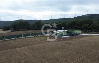 ÇANAKKALE MERKEZ ÇINARLI PRESTİJ 301 M2 TARLA