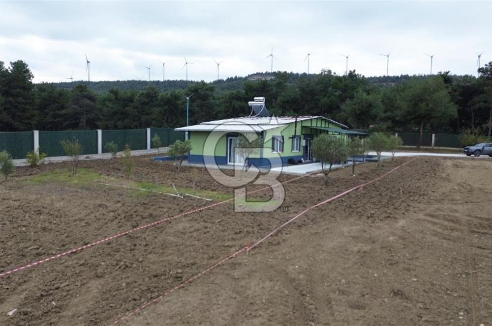 ÇANAKKALE MERKEZ ÇINARLI PRESTİJ 301 M2 TARLA