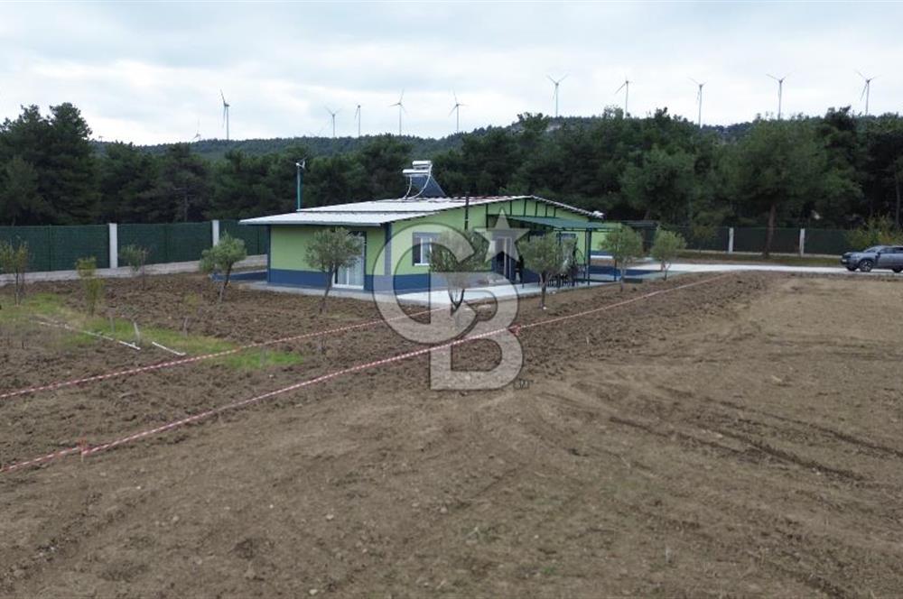 ÇANAKKALE MERKEZ ÇINARLI PRESTİJ 301 M2 TARLA