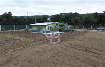 ÇANAKKALE MERKEZ ÇINARLI PRESTİJ 301 M2 TARLA