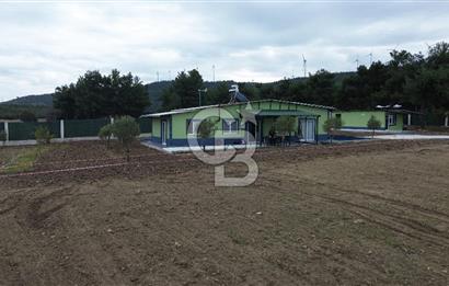 ÇANAKKALE MERKEZ ÇINARLI PRESTİJ 301 M2 TARLA