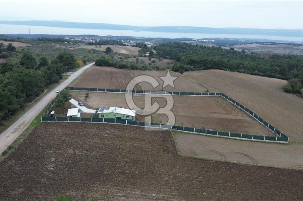 ÇANAKKALE MERKEZ ÇINARLI PRESTİJ 301 M2 TARLA