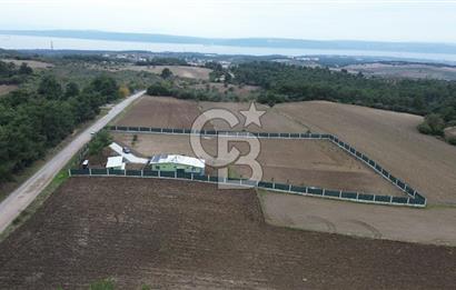ÇANAKKALE MERKEZ ÇINARLI PRESTİJ 301 M2 TARLA