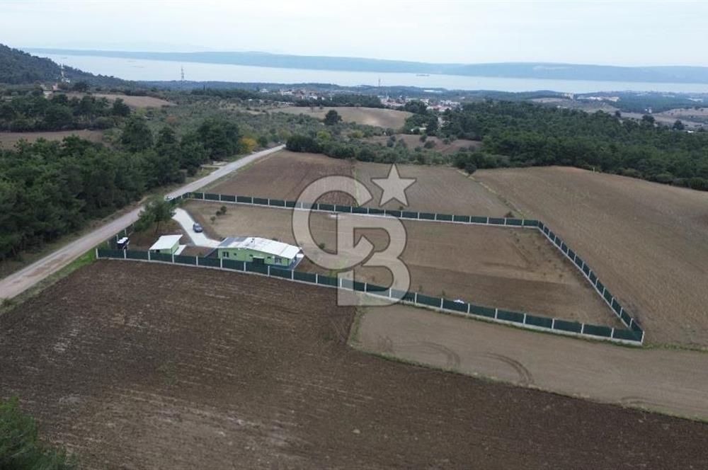 ÇANAKKALE MERKEZ ÇINARLI PRESTİJ 301 M2 TARLA