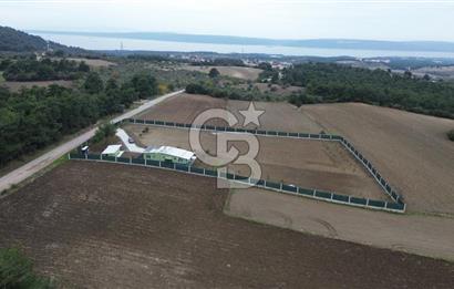 ÇANAKKALE MERKEZ ÇINARLI PRESTİJ 301 M2 TARLA