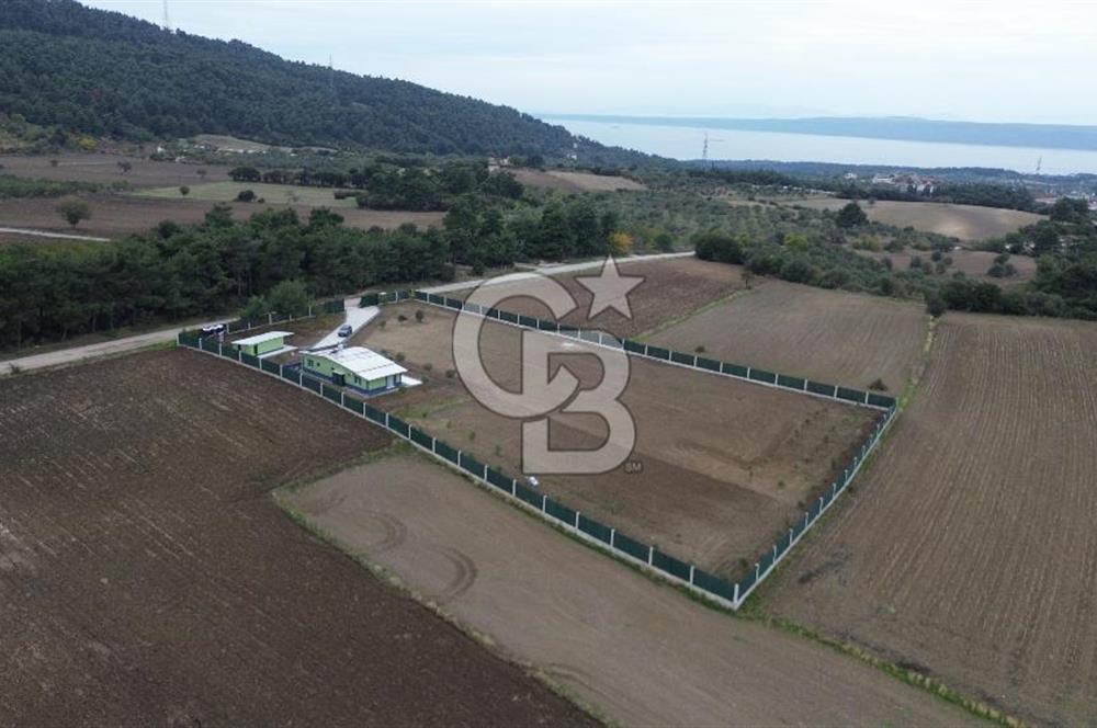ÇANAKKALE MERKEZ ÇINARLI PRESTİJ 301 M2 TARLA