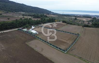 ÇANAKKALE MERKEZ ÇINARLI PRESTİJ 301 M2 TARLA