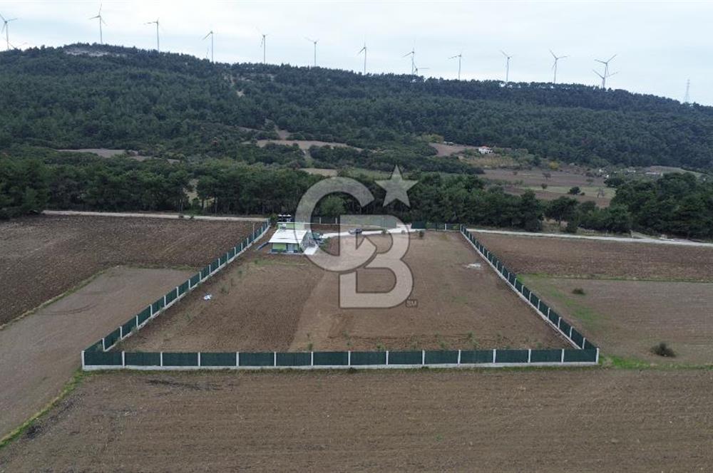 ÇANAKKALE MERKEZ ÇINARLI PRESTİJ 301 M2 TARLA