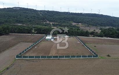 ÇANAKKALE MERKEZ ÇINARLI PRESTİJ 301 M2 TARLA