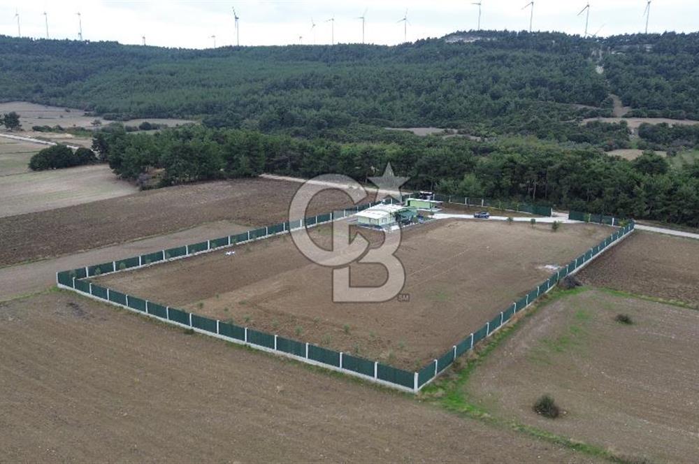 ÇANAKKALE MERKEZ ÇINARLI PRESTİJ 301 M2 TARLA