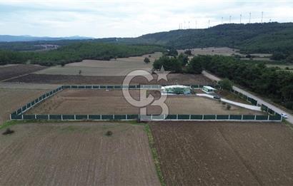 ÇANAKKALE MERKEZ ÇINARLI PRESTİJ 301 M2 TARLA