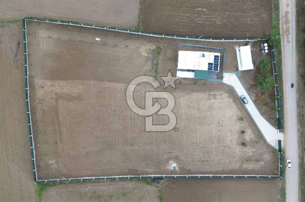 ÇANAKKALE MERKEZ ÇINARLI PRESTİJ 301 M2 TARLA