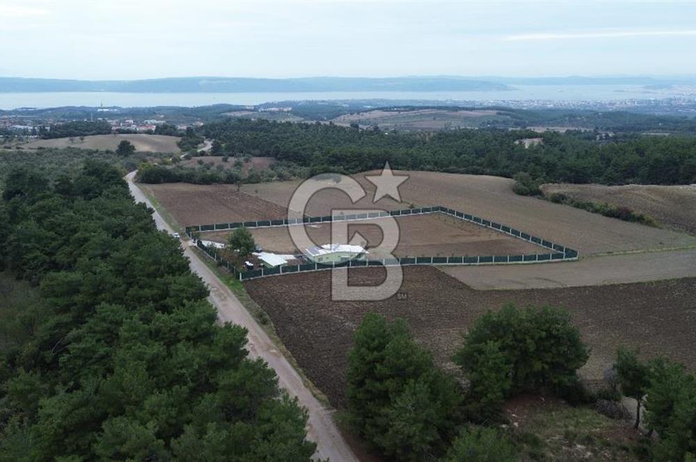 ÇANAKKALE MERKEZ ÇINARLI PRESTİJ 301 M2 TARLA