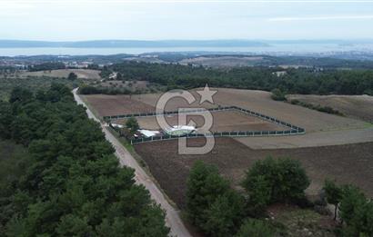 ÇANAKKALE MERKEZ ÇINARLI PRESTİJ 301 M2 TARLA