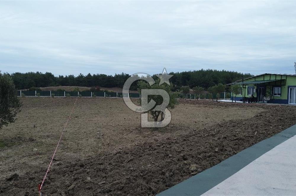 ÇANAKKALE MERKEZ ÇINARLI PRESTİJ 301 M2 TARLA