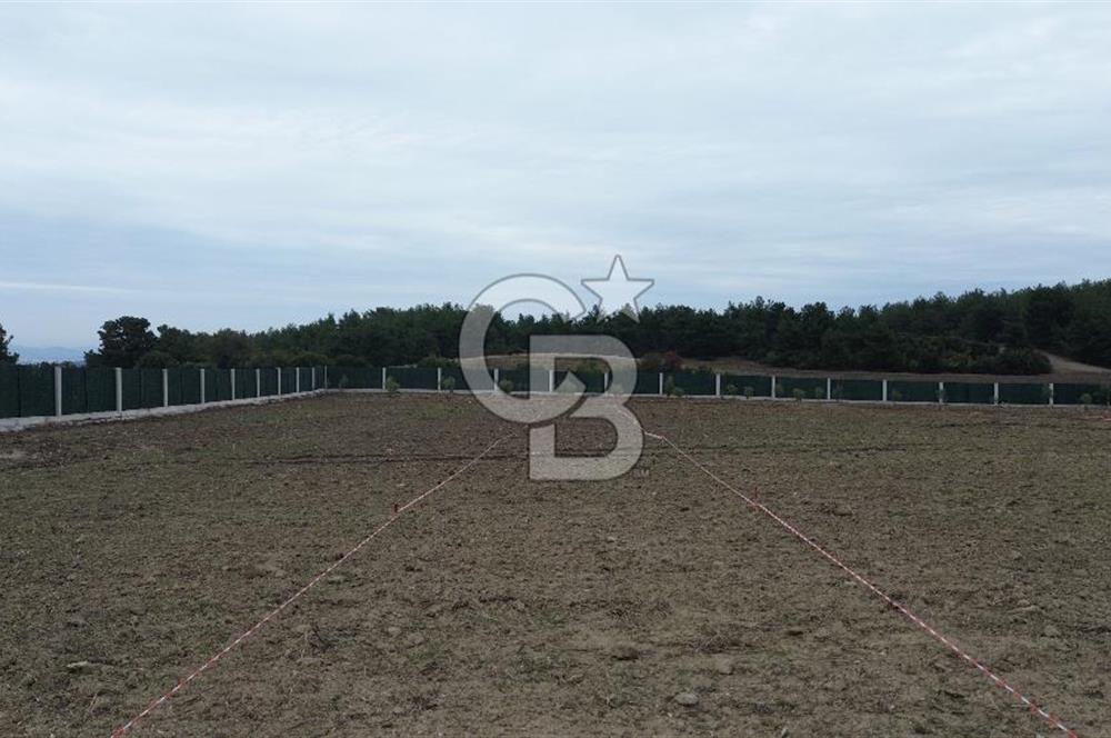 ÇANAKKALE MERKEZ ÇINARLI PRESTİJ 301 M2 TARLA