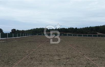 ÇANAKKALE MERKEZ ÇINARLI PRESTİJ 301 M2 TARLA