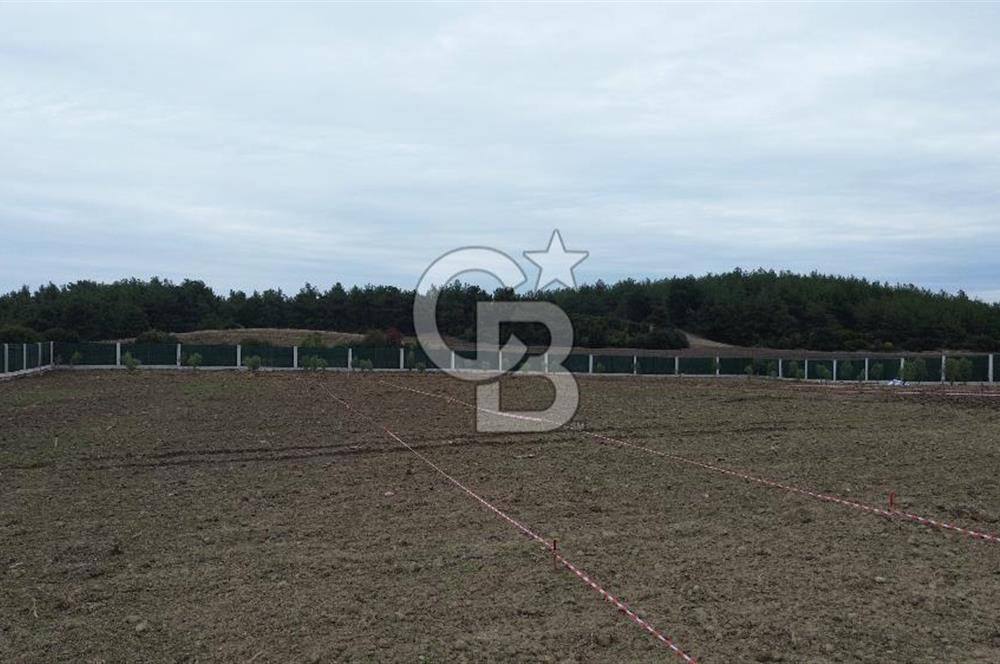 ÇANAKKALE MERKEZ ÇINARLI PRESTİJ 301 M2 TARLA