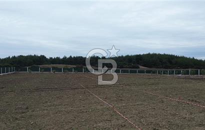 ÇANAKKALE MERKEZ ÇINARLI PRESTİJ 301 M2 TARLA