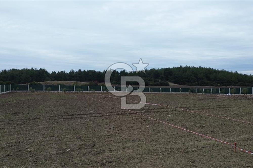 ÇANAKKALE MERKEZ ÇINARLI PRESTİJ 301 M2 TARLA