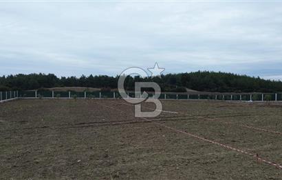 ÇANAKKALE MERKEZ ÇINARLI PRESTİJ 301 M2 TARLA