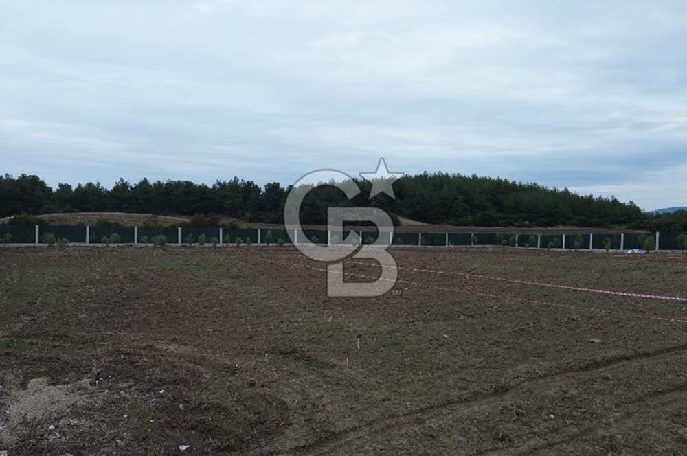 ÇANAKKALE MERKEZ ÇINARLI PRESTİJ 301 M2 TARLA