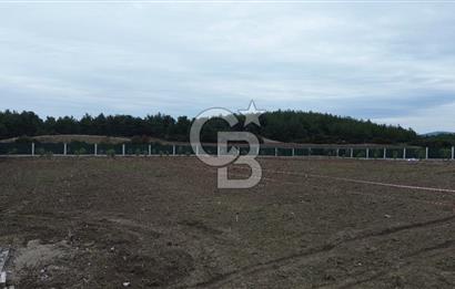 ÇANAKKALE MERKEZ ÇINARLI PRESTİJ 301 M2 TARLA