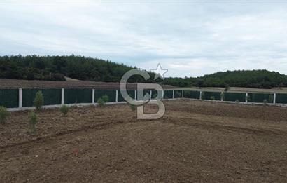 ÇANAKKALE MERKEZ ÇINARLI PRESTİJ 301 M2 TARLA