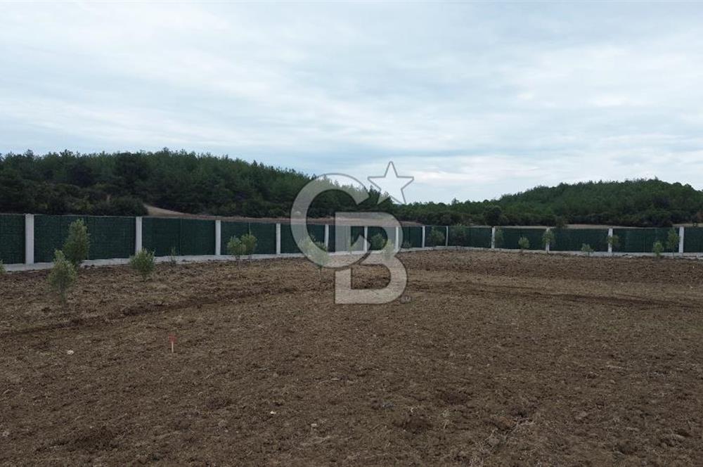 ÇANAKKALE MERKEZ ÇINARLI PRESTİJ 301 M2 TARLA