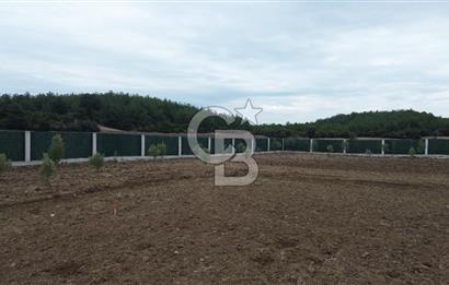 ÇANAKKALE MERKEZ ÇINARLI PRESTİJ 301 M2 TARLA