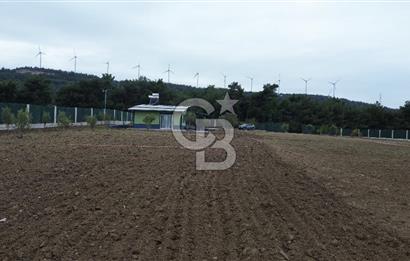 ÇANAKKALE MERKEZ ÇINARLI PRESTİJ 301 M2 TARLA