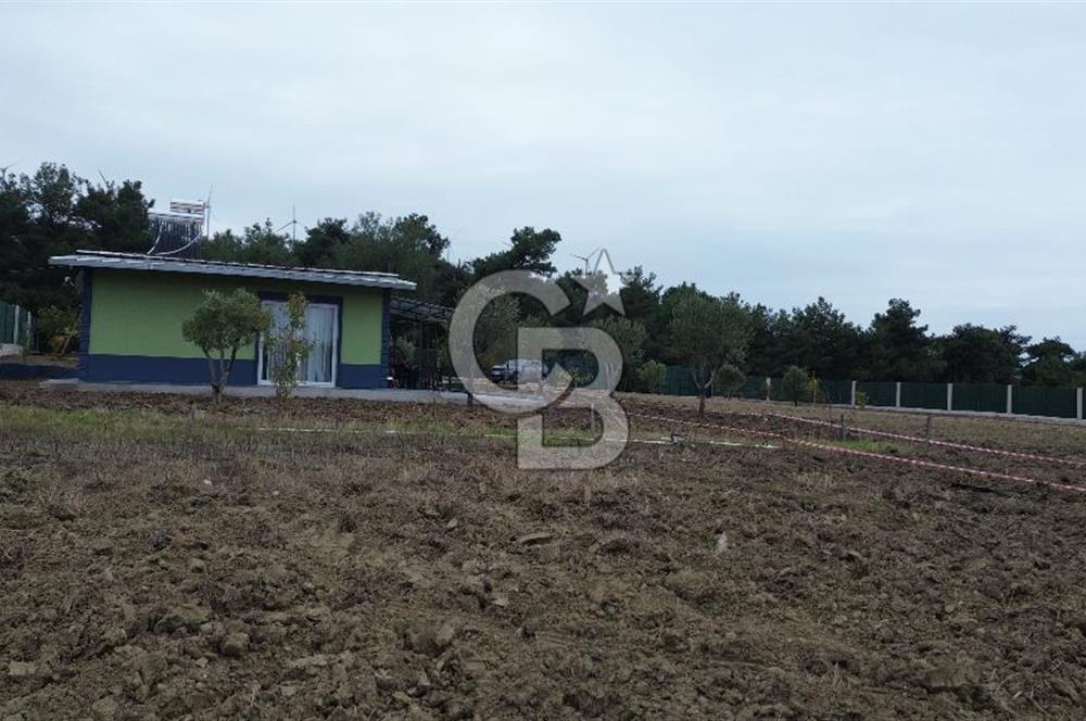 ÇANAKKALE MERKEZ ÇINARLI PRESTİJ 301 M2 TARLA