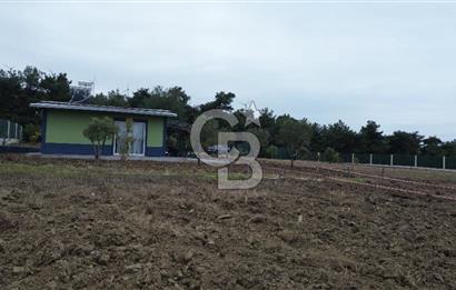ÇANAKKALE MERKEZ ÇINARLI PRESTİJ 301 M2 TARLA