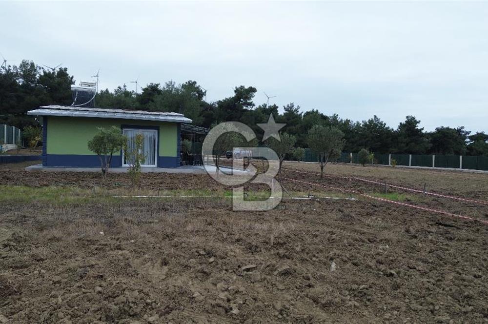 ÇANAKKALE MERKEZ ÇINARLI PRESTİJ 301 M2 TARLA