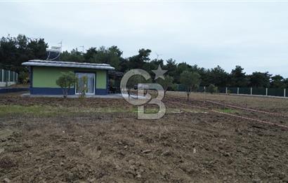 ÇANAKKALE MERKEZ ÇINARLI PRESTİJ 301 M2 TARLA