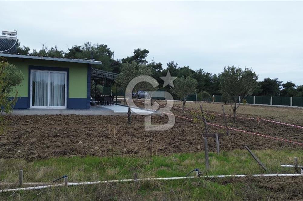 ÇANAKKALE MERKEZ ÇINARLI PRESTİJ 301 M2 TARLA