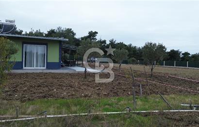 ÇANAKKALE MERKEZ ÇINARLI PRESTİJ 301 M2 TARLA
