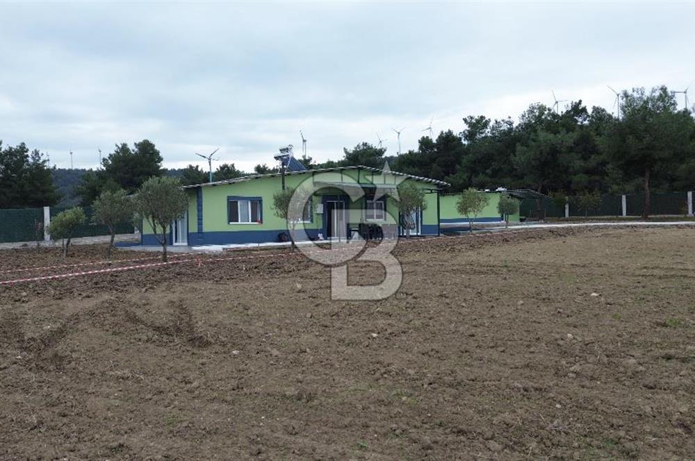 ÇANAKKALE MERKEZ ÇINARLI PRESTİJ 301 M2 TARLA