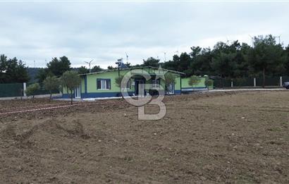 ÇANAKKALE MERKEZ ÇINARLI PRESTİJ 301 M2 TARLA