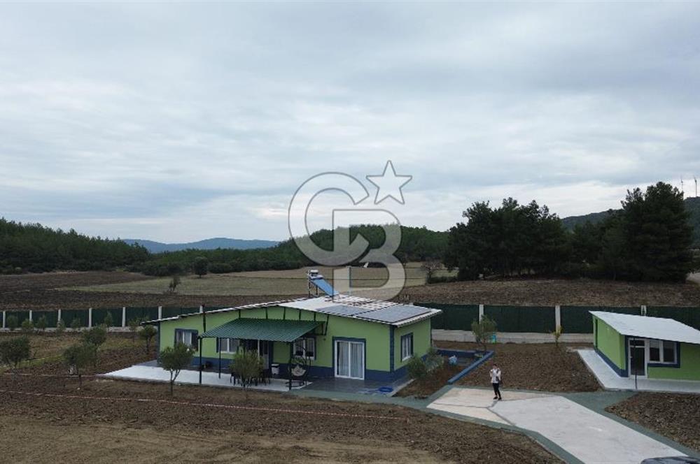 ÇANAKKALE MERKEZ ÇINARLI PRESTİJ 301 M2 TARLA