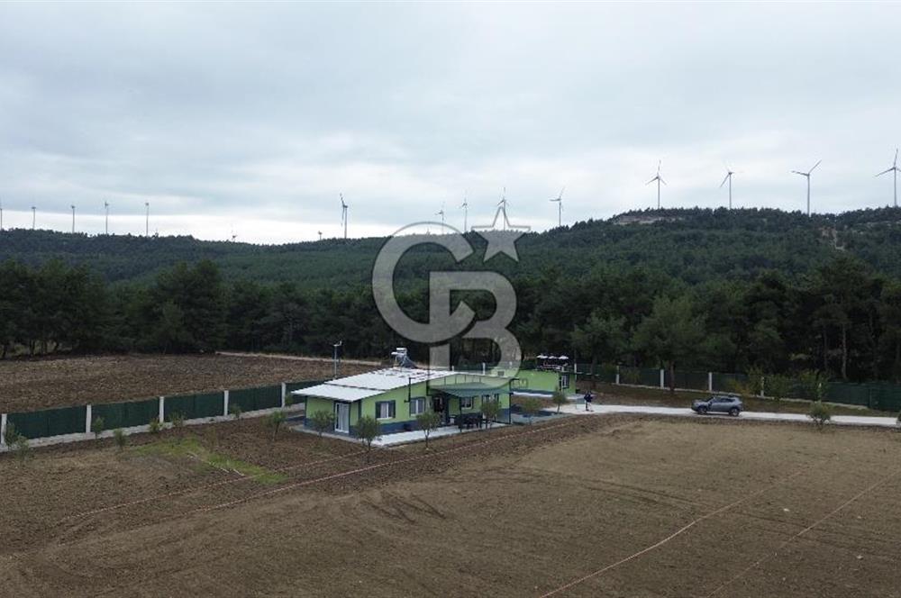ÇANAKKALE MERKEZ ÇINARLI PRESTİJ 301 M2 TARLA