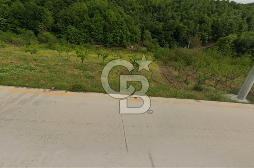 Akçatta, Yola Cepheli ve Suyu Bulunan 1750 m2 Satılık Tarla!