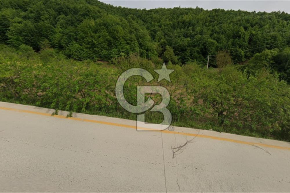 Akçatta, Yola Cepheli ve Suyu Bulunan 1750 m2 Satılık Tarla!