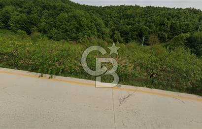 Akçatta, Yola Cepheli ve Suyu Bulunan 1750 m2 Satılık Tarla!